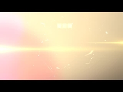 Lateral launch inspection branch ideo inspection system